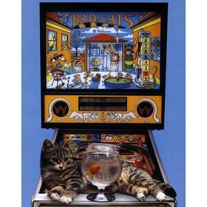 Bad Cats Pinball FLYER 1989 Original Unused Kitten Calico Cat Vintage Retro Art